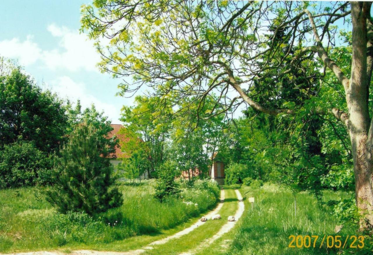 Апартаменты Gutshaus Alt-Jargenow Alt Jargenow Экстерьер фото